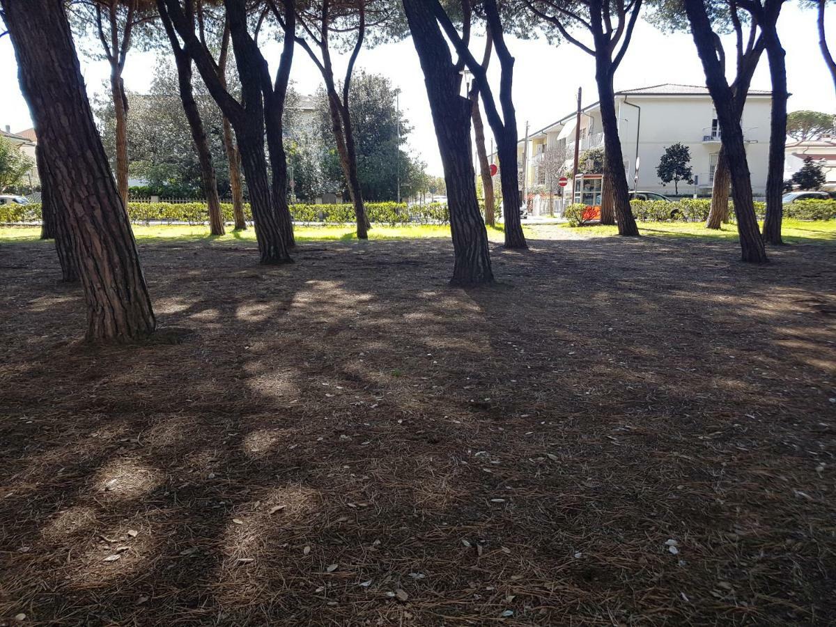 Il Don Minzoni 98 "Casa Vacanze" Lido di Camaiore Zewnętrze zdjęcie